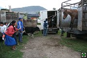 thn_6-Otavalo (11).jpg